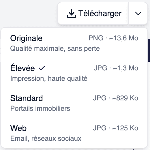 Menu de téléchargement avec sélection de qualité et poids du fichier
